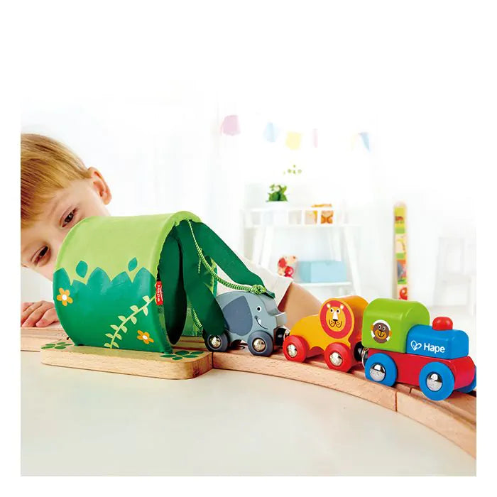Hape Jungle Train Journey Set