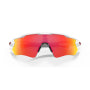 Oakley Cycling Glasses