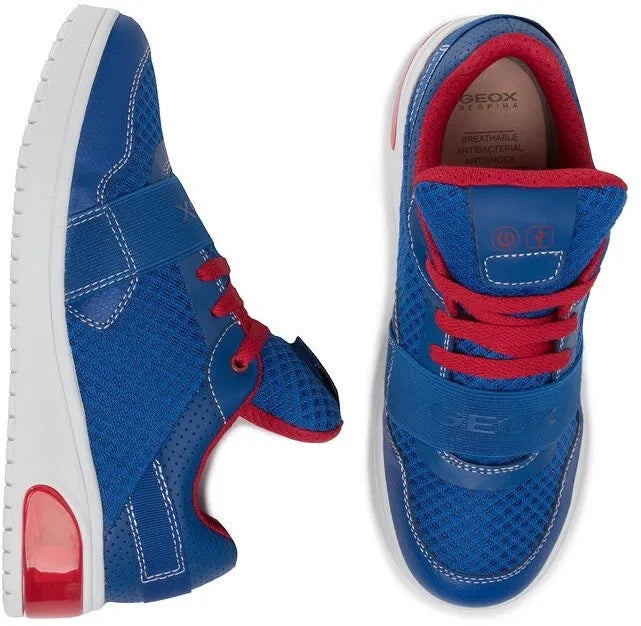 Børnesko Geox Jr Xled Sneaker Blå