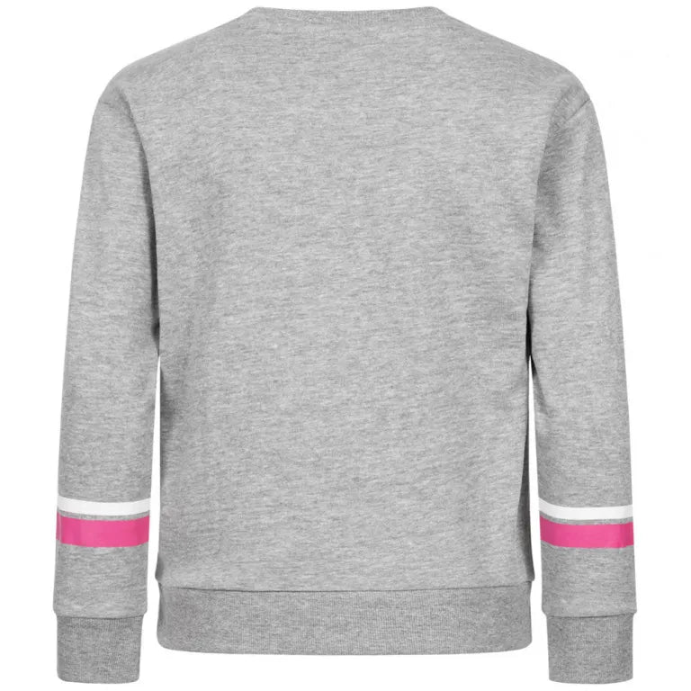 Sudadera Infantil Fc Barcelona Gris