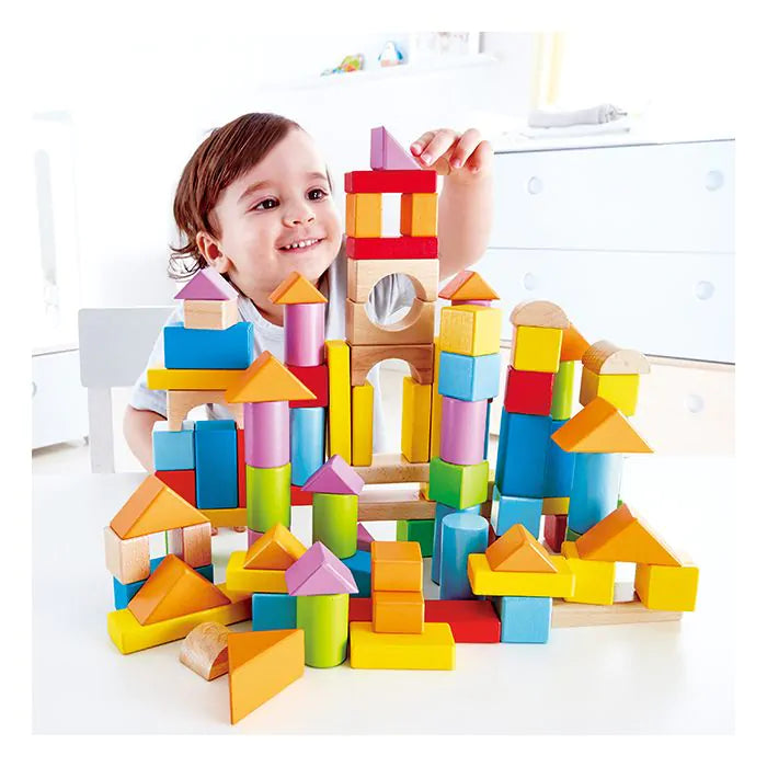 Hape Wonderful Beech Blocks 101 Pcs
