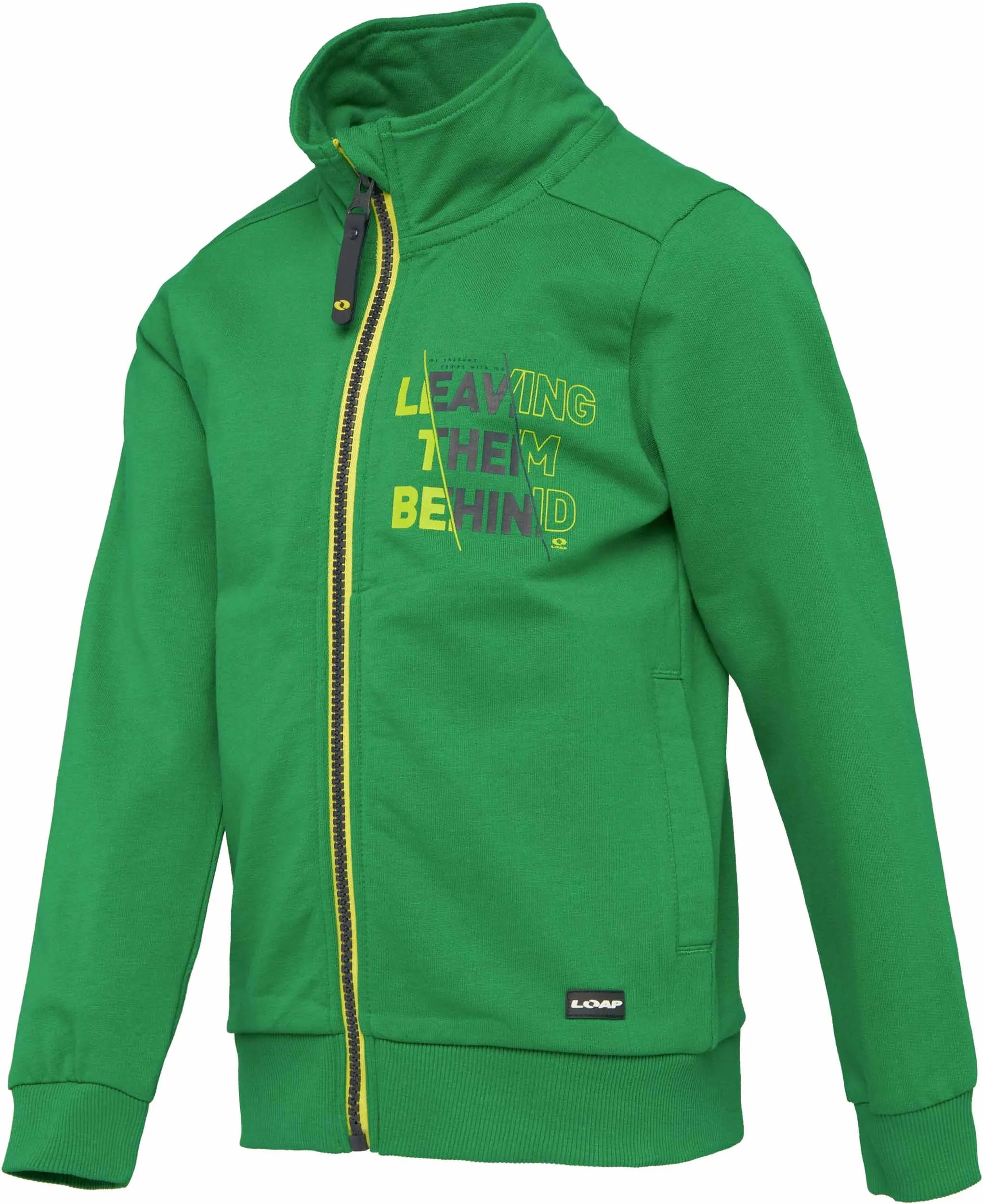 Sudadera infantil loap dorad verde 158-164