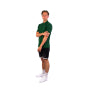 Lacoste Polo herre