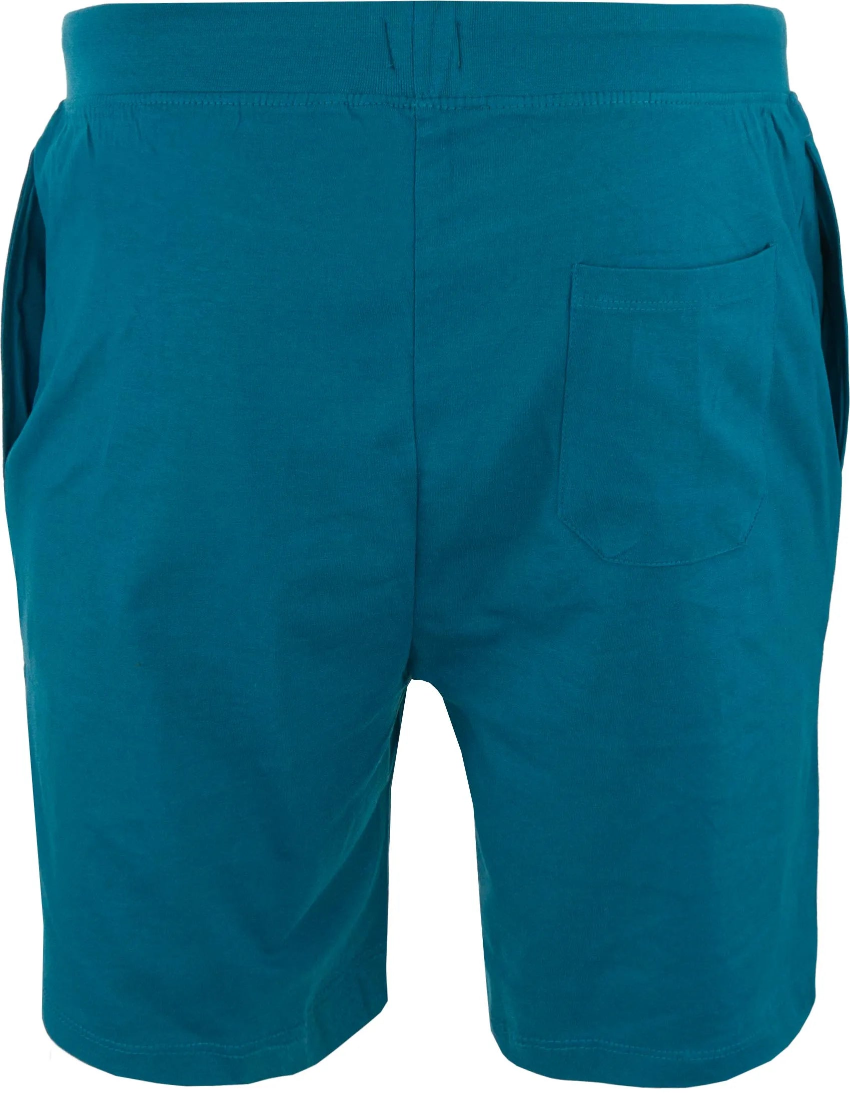 Pánske šortky athl. dpt einar ottanio tyrkysová m