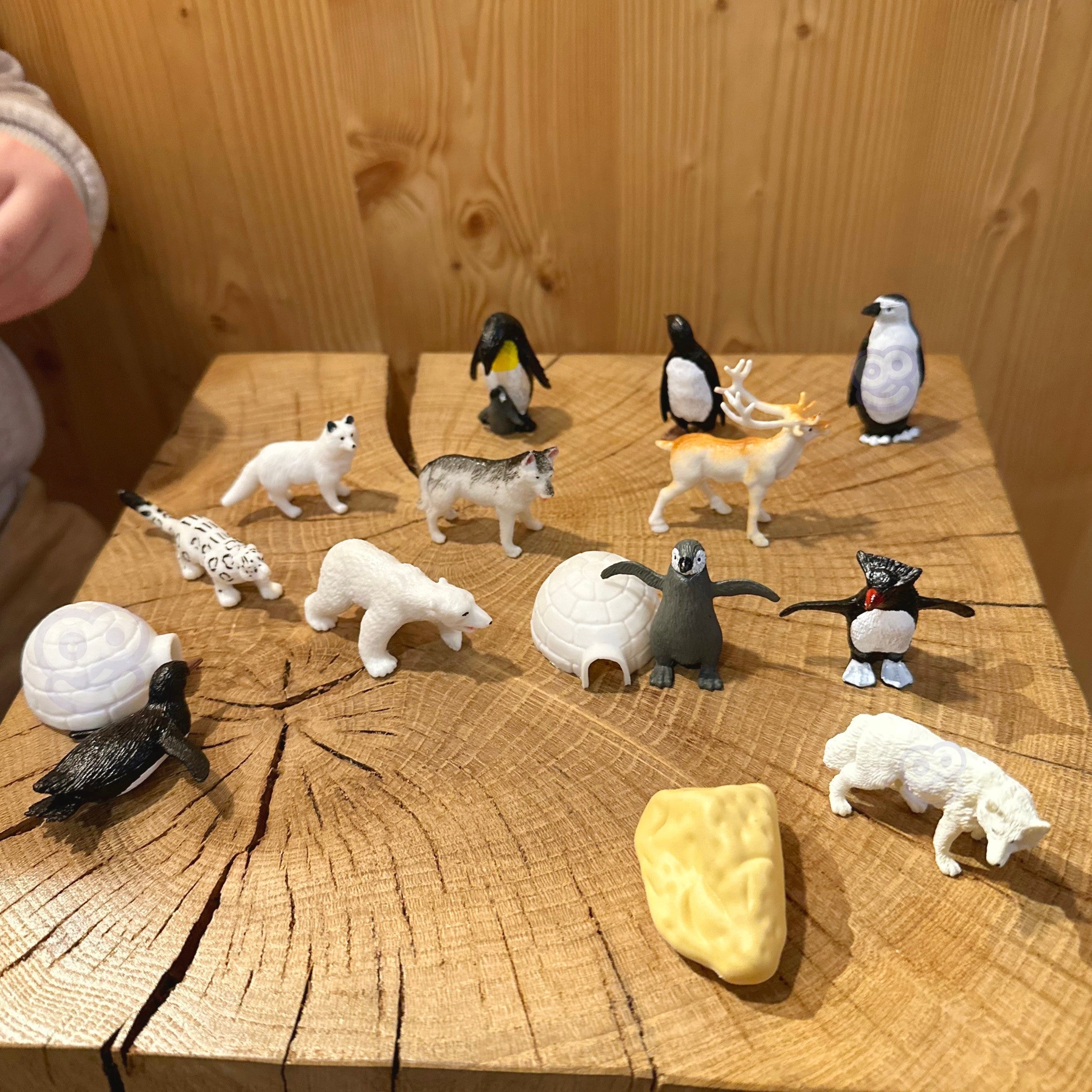 Woopie Arctic Animals Figuren-Set 16-tlg.