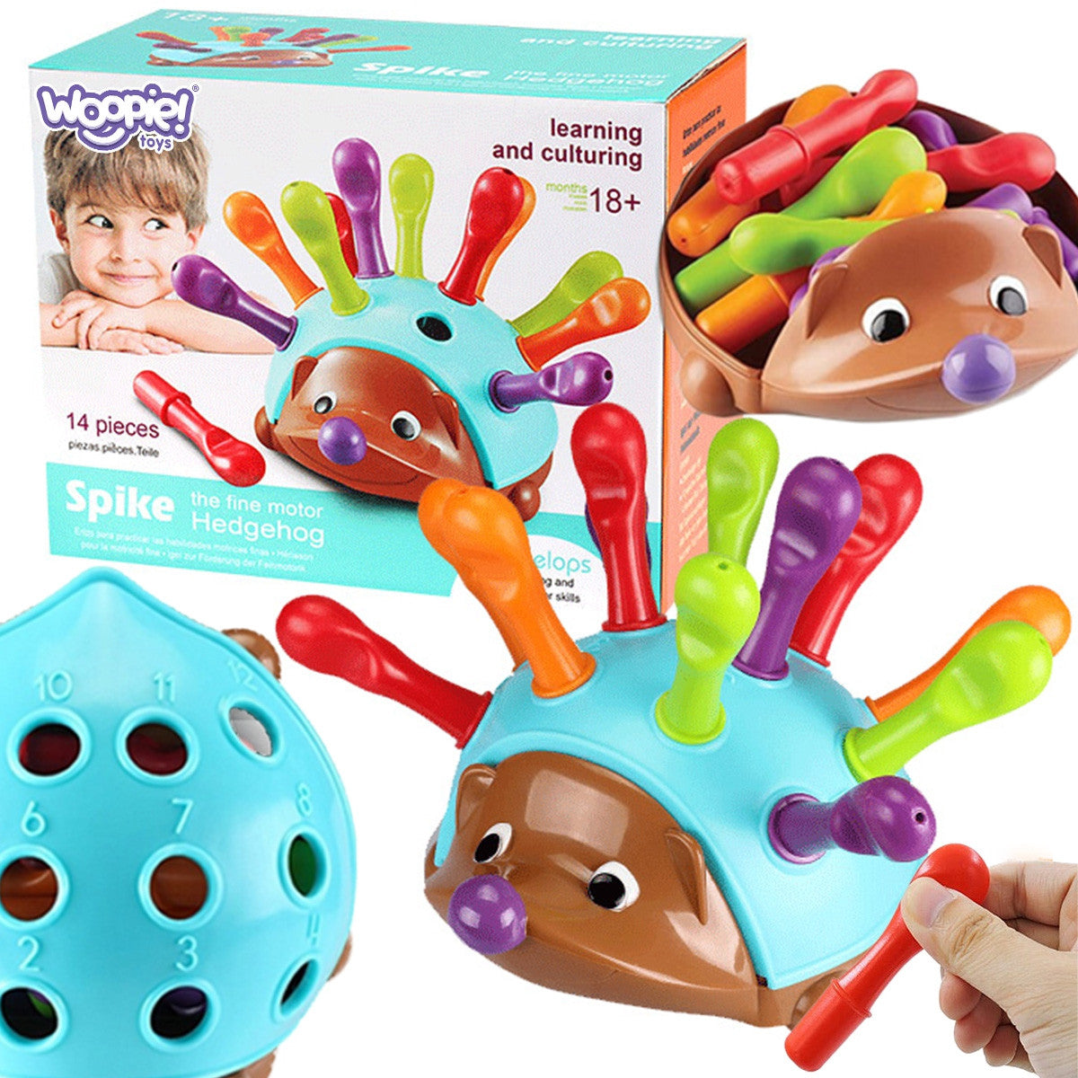 Woopie Hedgehog Sorter Montessori Skill Game Apprentissage des nombres et des couleurs 4 en 1
