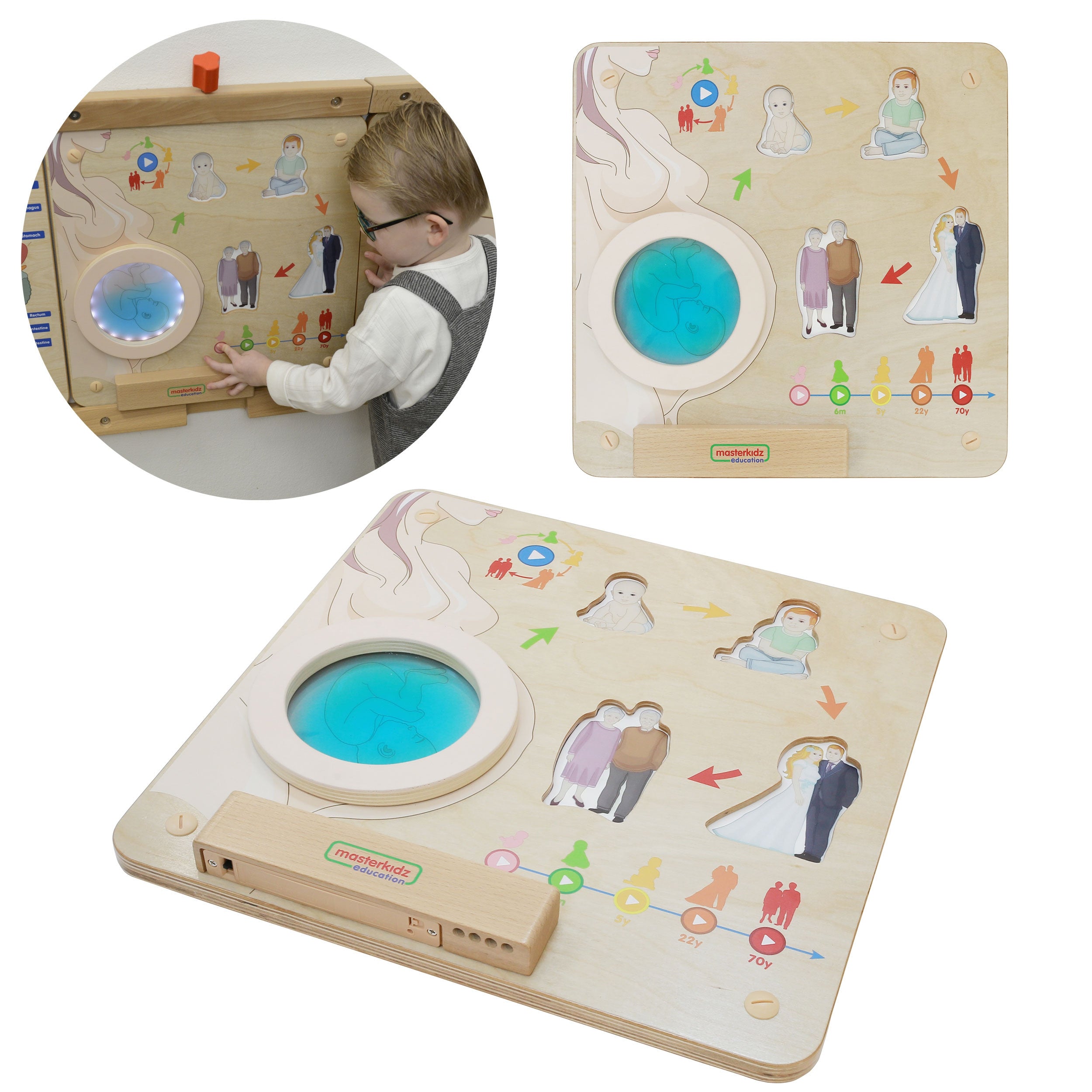 Masterkidz Montessori Human Life Cycle Educational Board