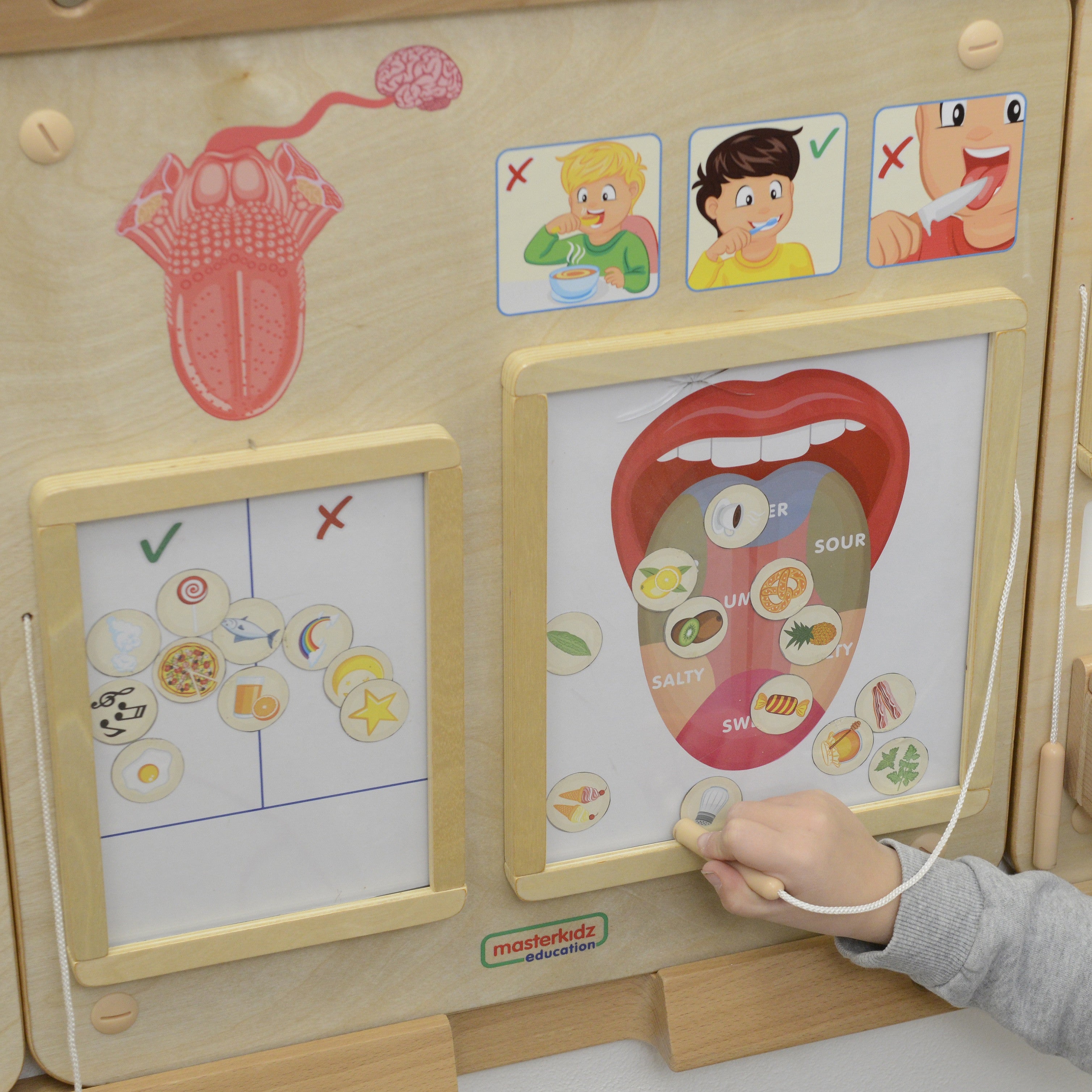 Masterkidz Montessori Sense of Taste Образователна дъска