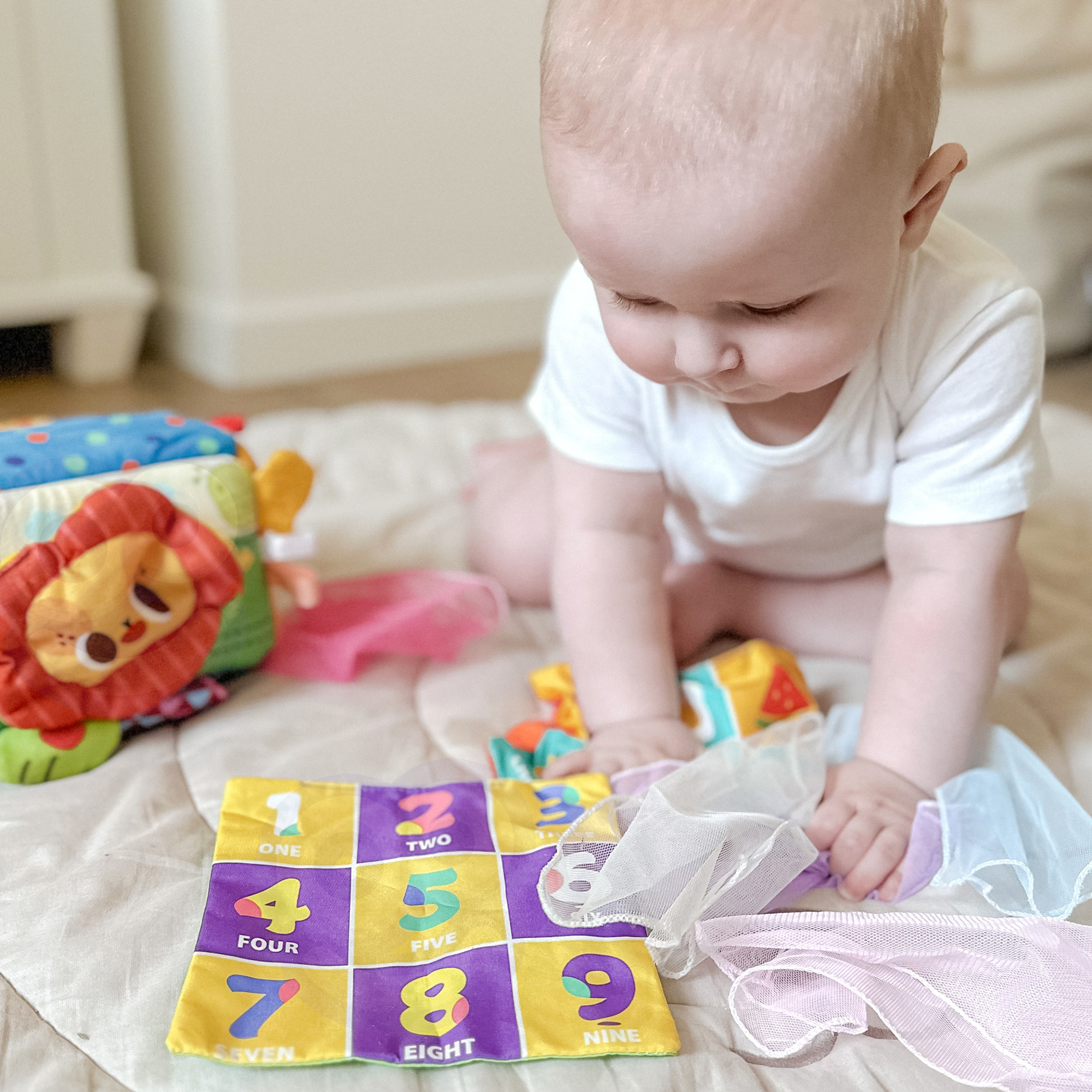 Woopie Baby Educational Sensory Toy Lady Tag Wipes Box