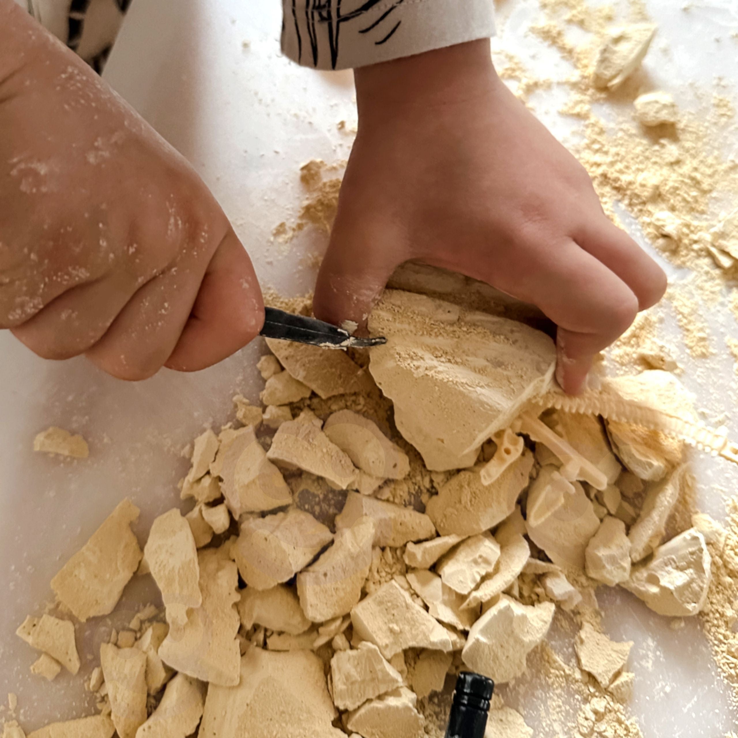 Woopie Kreatives Spielzeug-Dinosaurier-Skelett, archäologische Ausgrabung