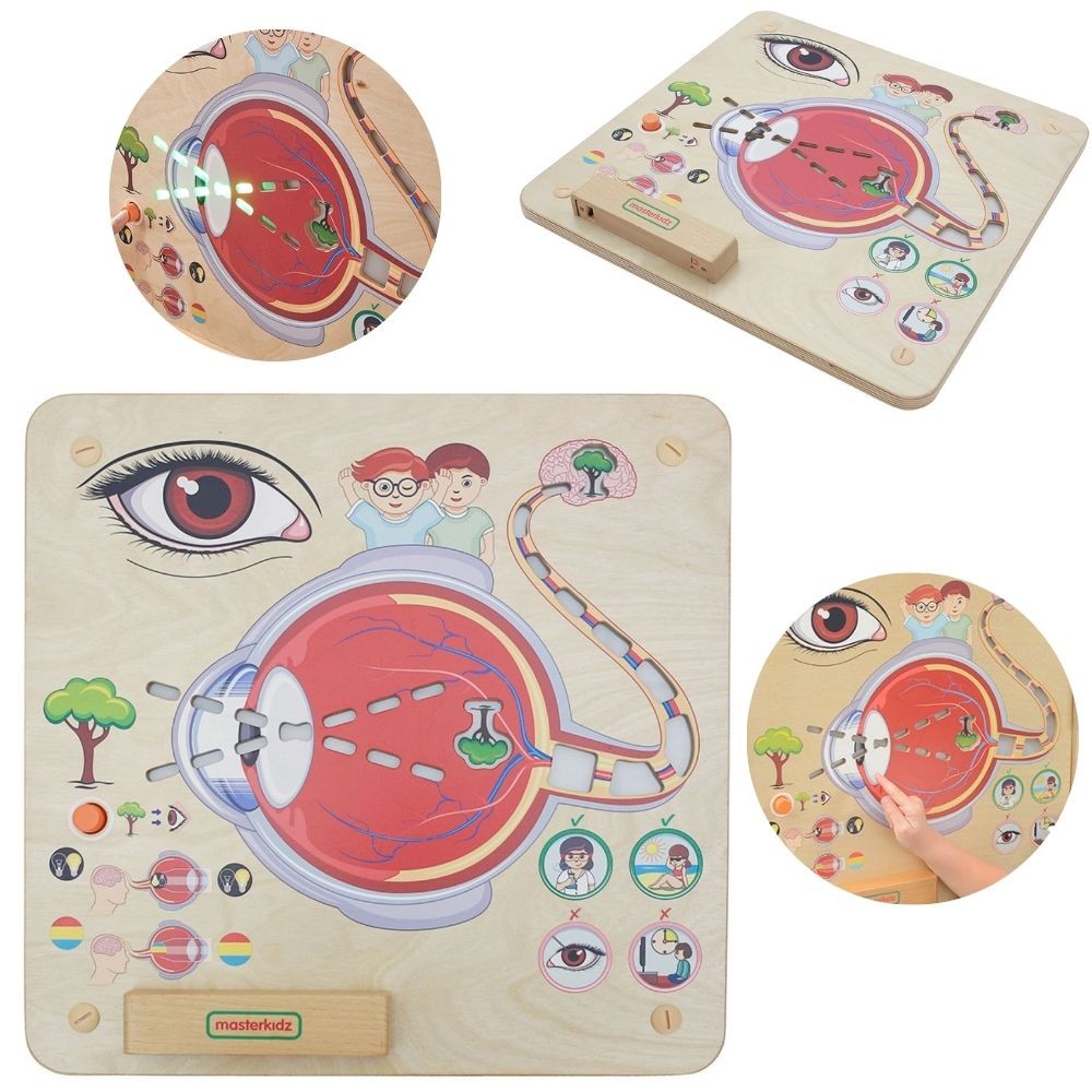 Board educațional Masterkidz Montessori Visual Sense