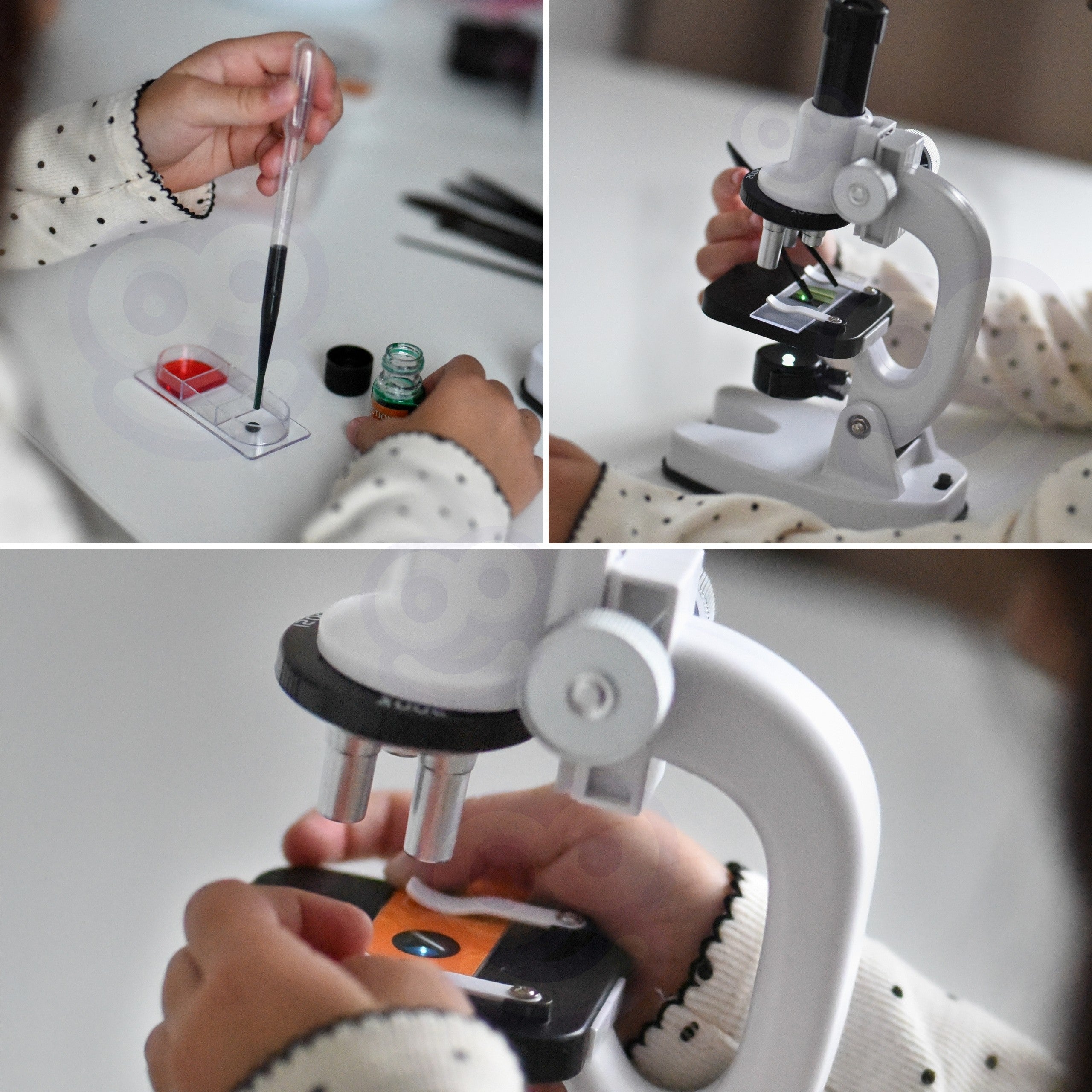 Microscopio digitale a LED Woopie Zoom 1200x Xxl Kit con adattatore per smartphone