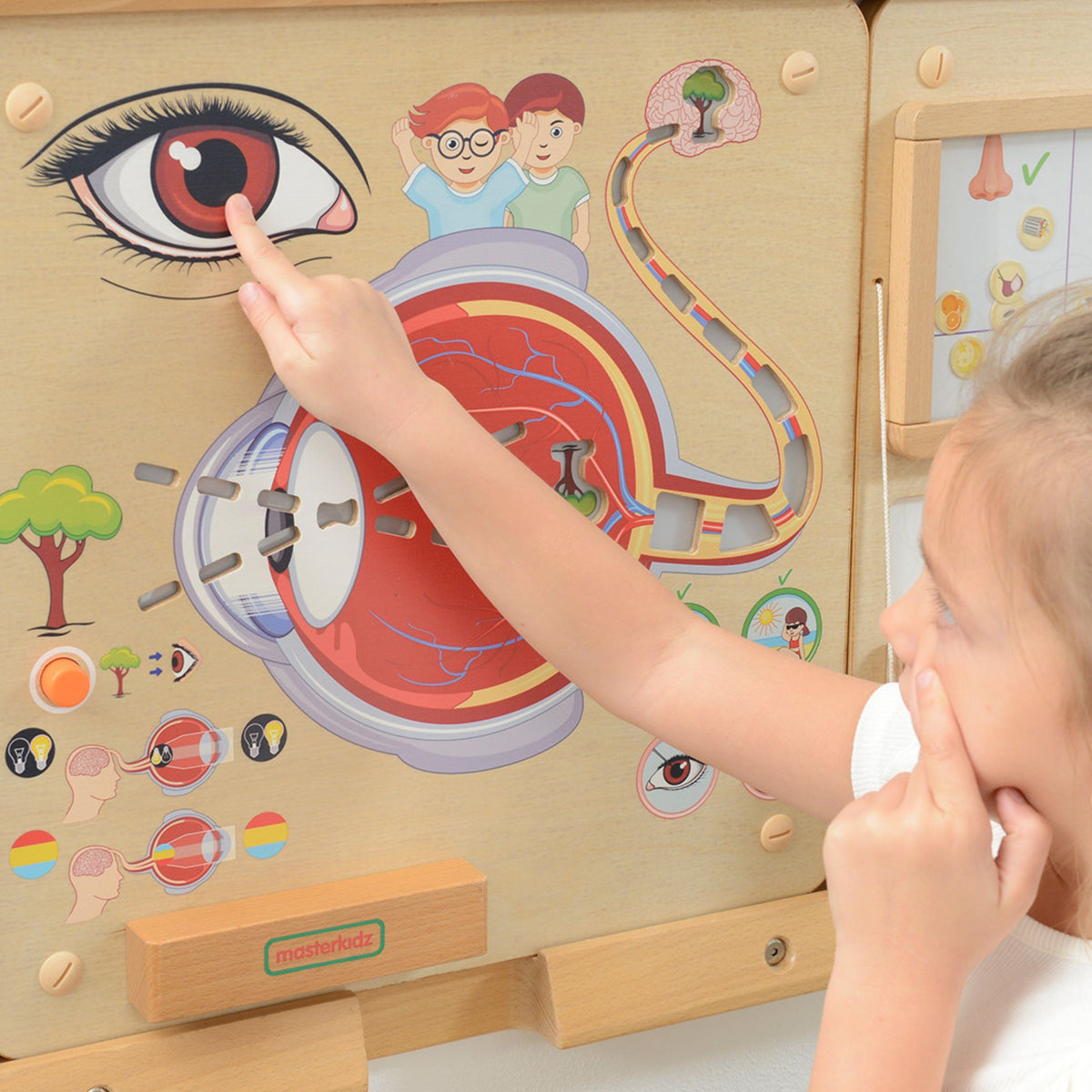 Bord Oideachais Visual Sense Masterkidz Montessori