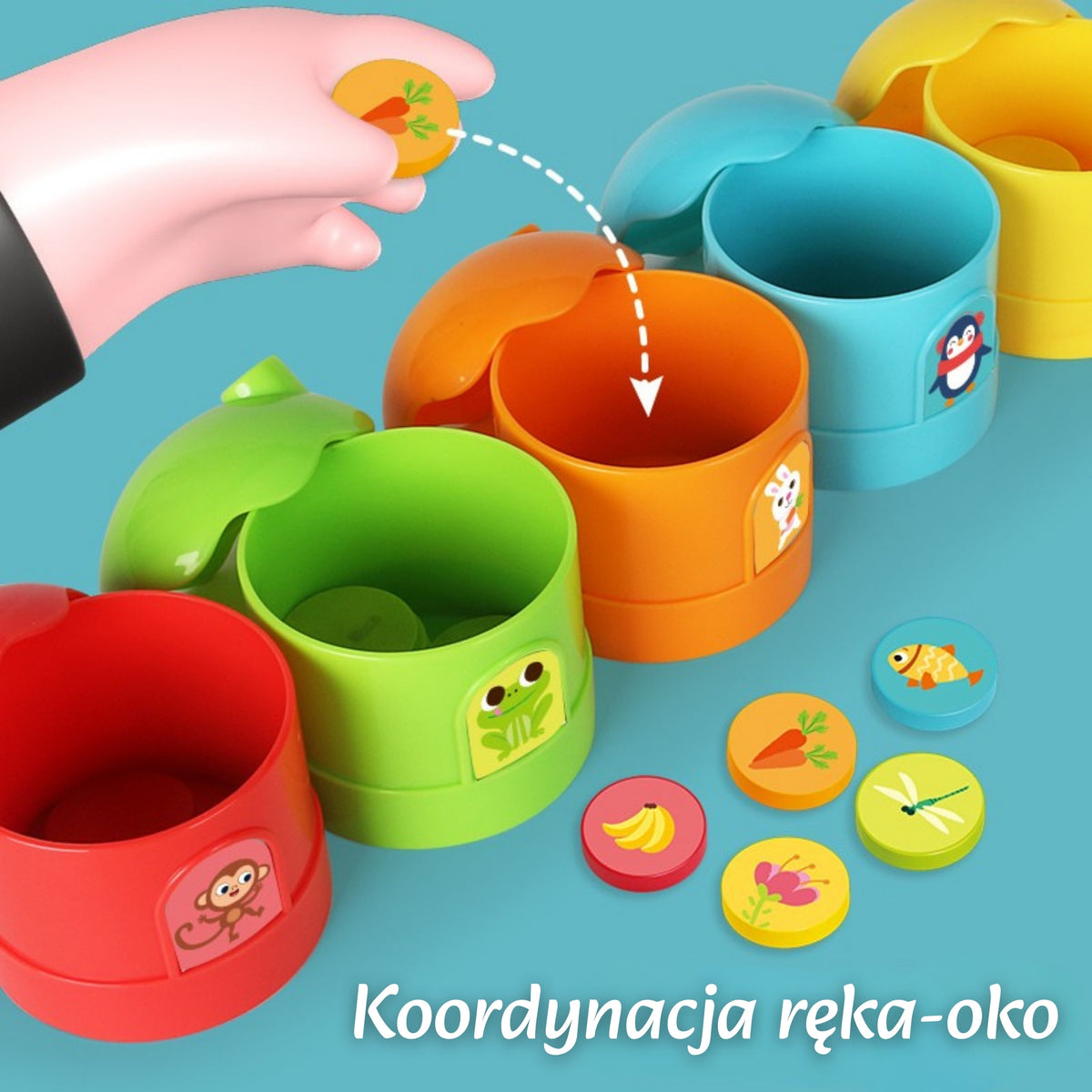 Classification du trieur de couleurs du jeu de logique éducative Woopie