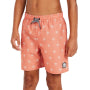 Protest Swim Shorts Boys