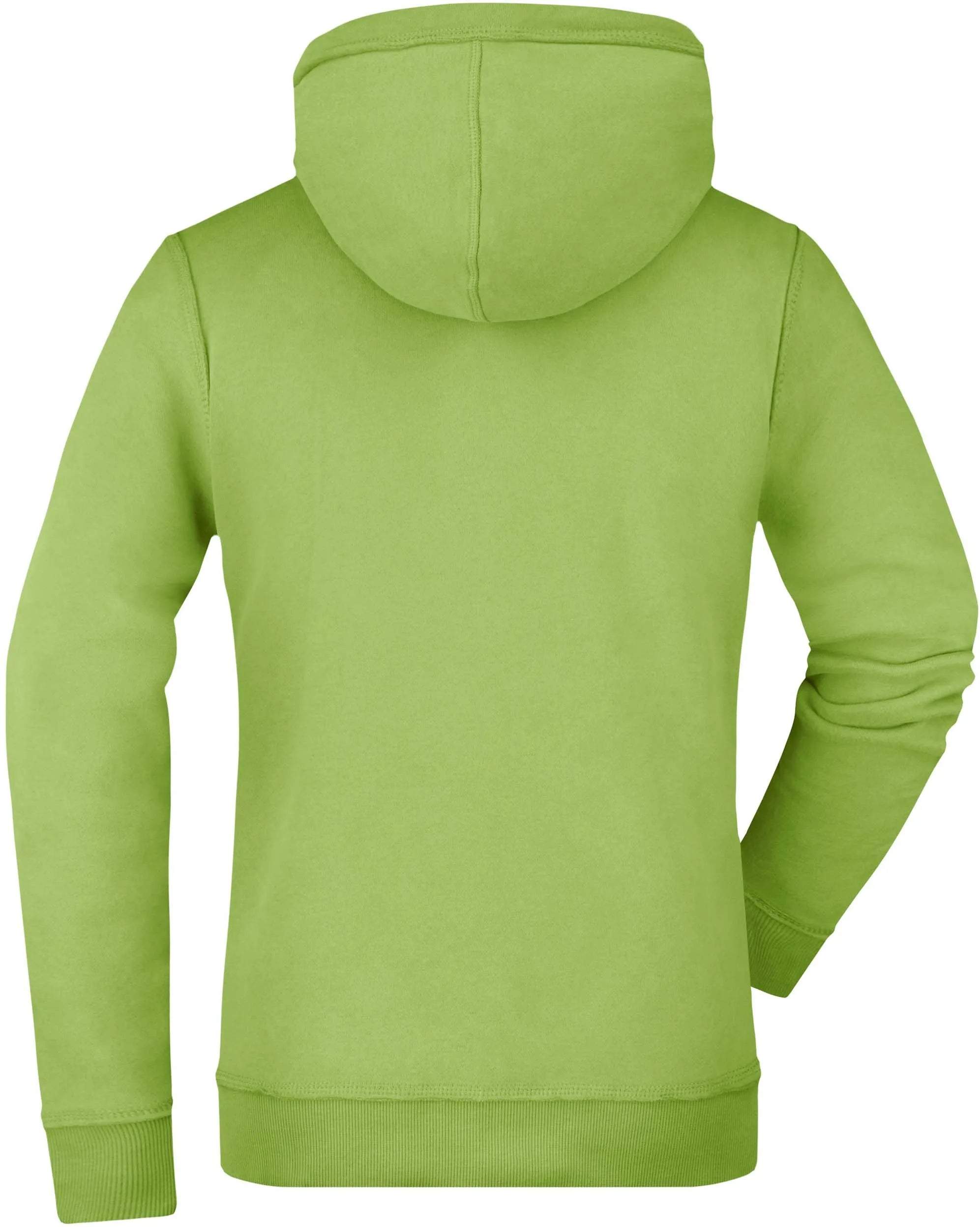 Sweat Femme James & Nicholson Vintage Hoody Vert