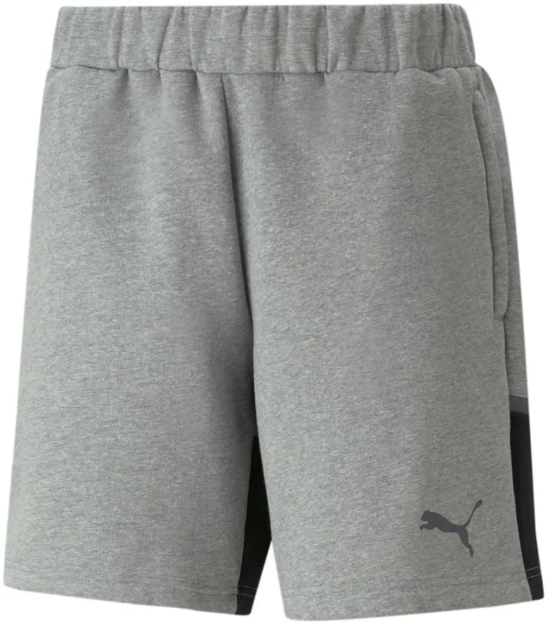 Šortky puma teamcup neformální šortky grijs grijs 2xl