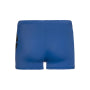 Protest Swim Boxer Boys