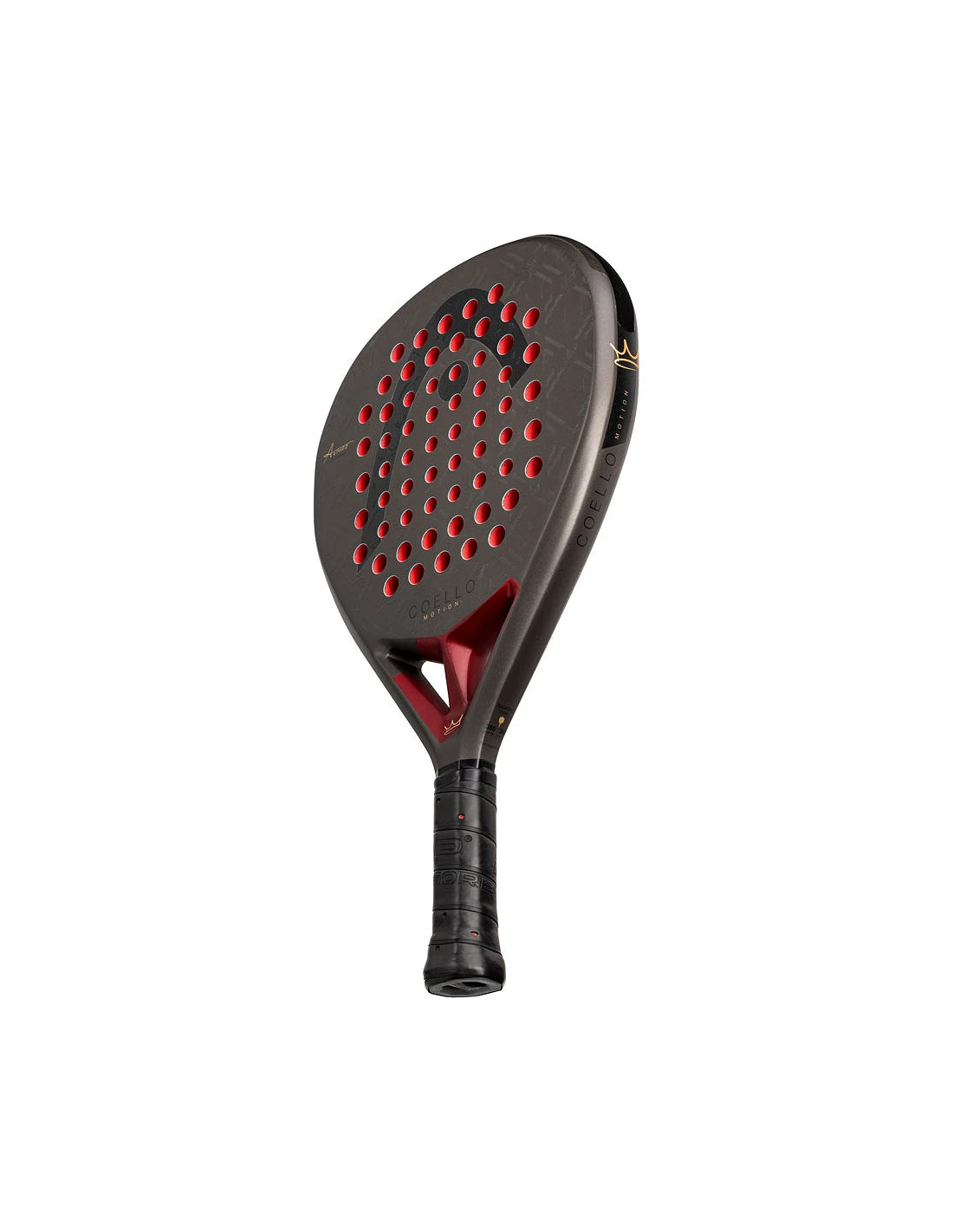 Head Coello Motion 2026