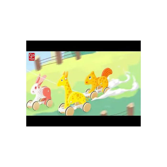 Hape Pull Along Rabbit