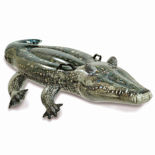 Intex Crocodile Ride-on | Realistischer Druck | 170x86 cm