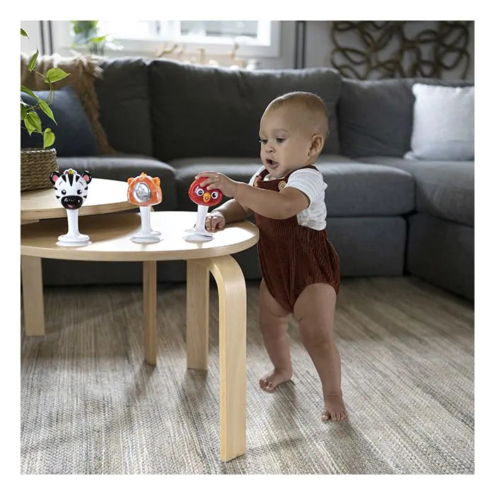 Baby Einstein Rattle & Jingle Trio Rattle Set