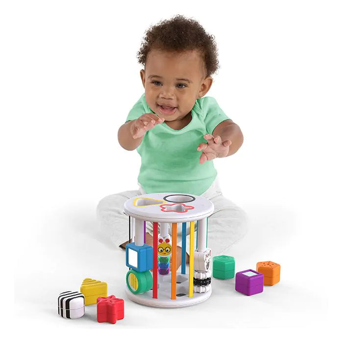 Baby Einstein Zen & Cal's Sensory Shape Sorter