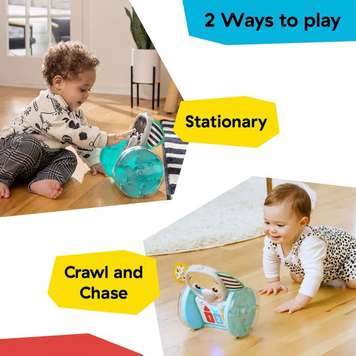 Baby Einstein Chase & Tap Earl Interactive Crawl Toy