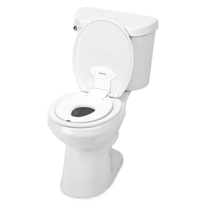 Ingenuity Flip & Sit Potty