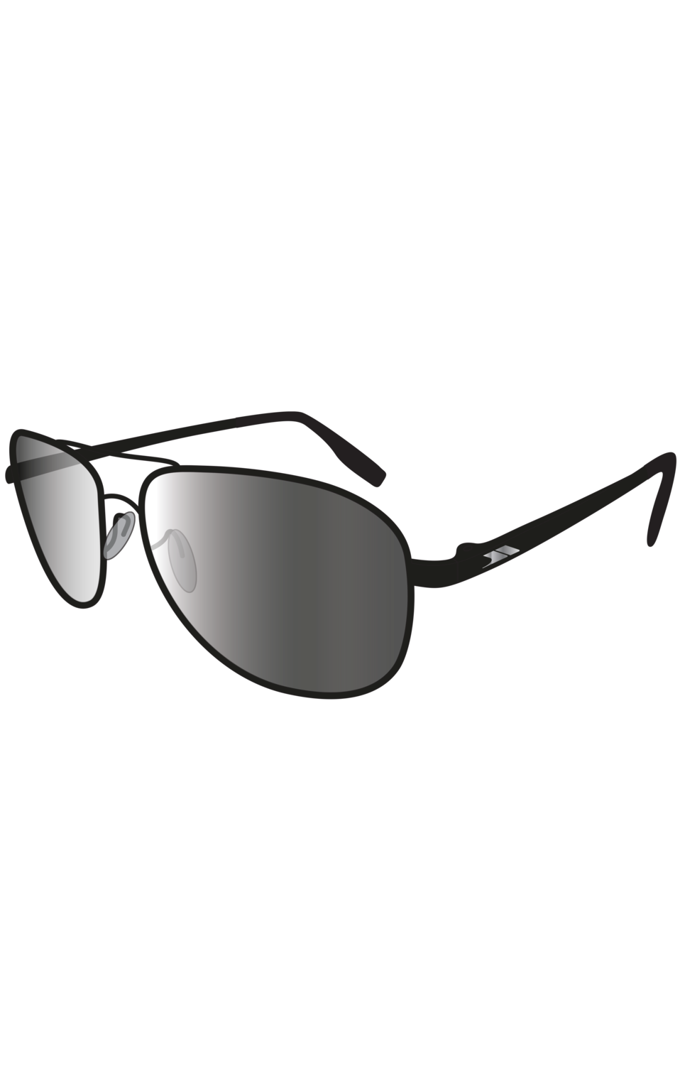 Trespass Aviator - Sunglasses Gun Metal