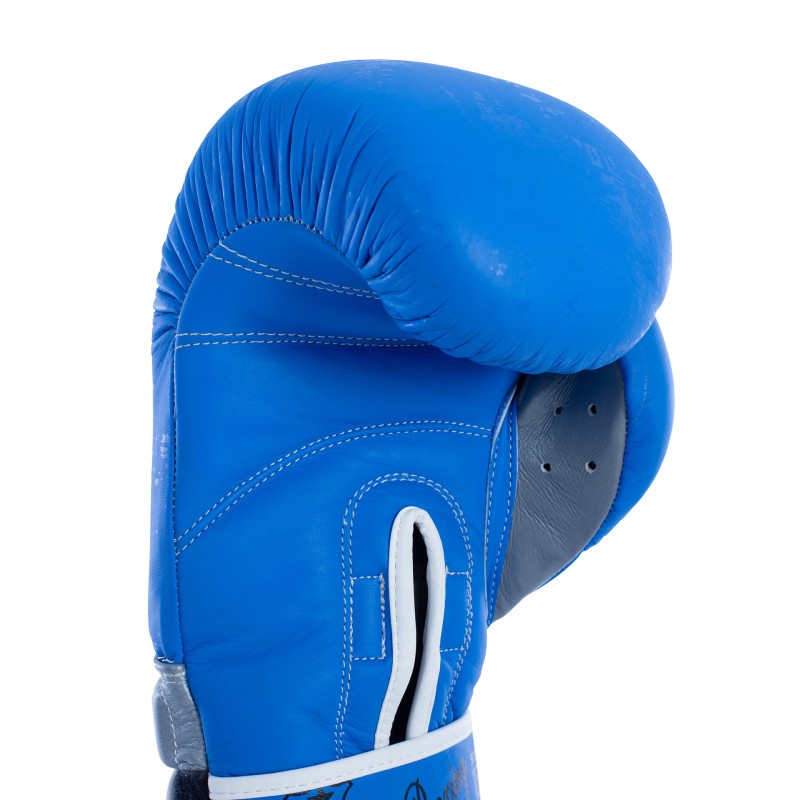 Par De Guantes De Boxeo Fullboxing Master Azul 10 Oz