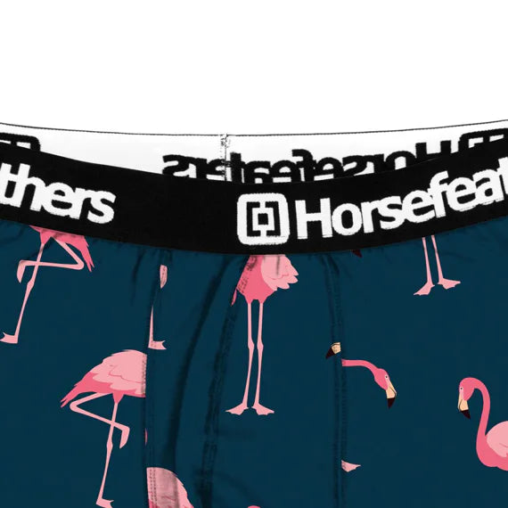 Boxerky Horsefeathers Sidney (plameňáci)