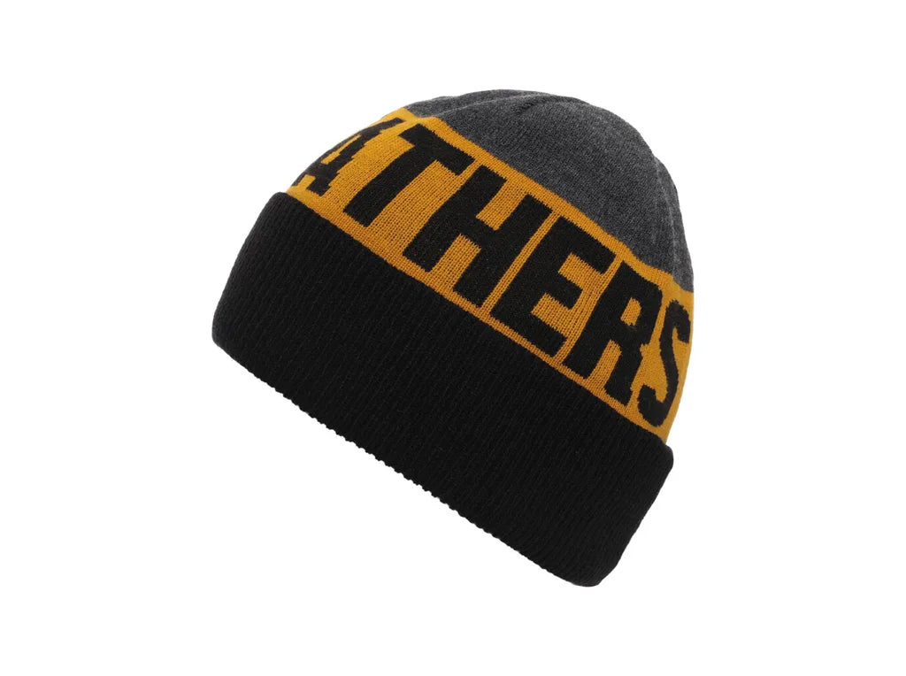 Horsefeathers Flak Beanie (sunflower)