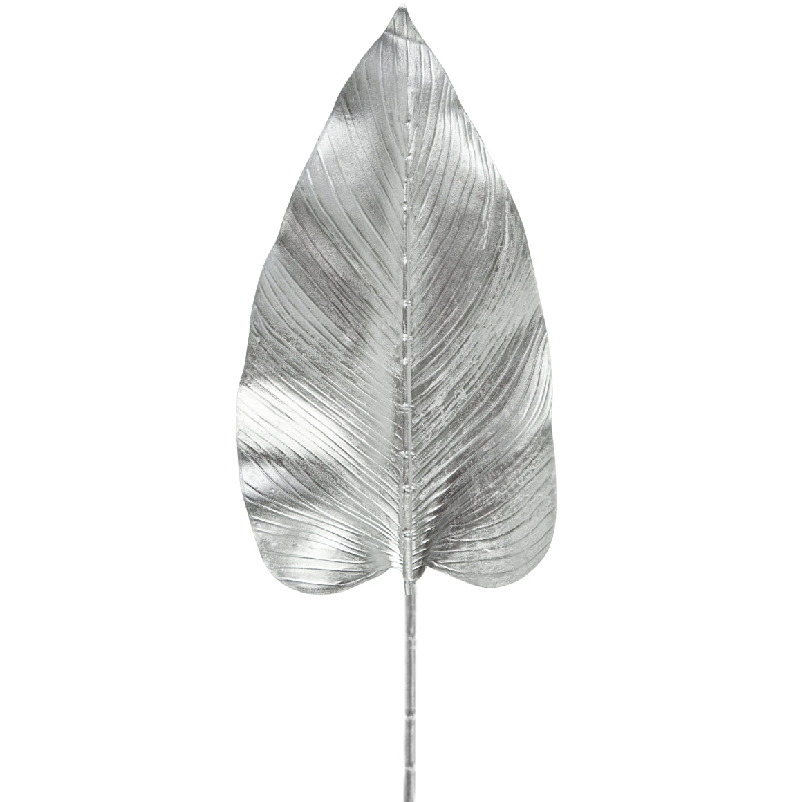 Hbx Artificial Branch Strelitzia Silver Colored 100 Cm