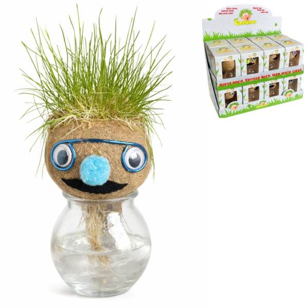 Græshoved Ansigtsplante I Vase 12 Cm 4 Assorteret