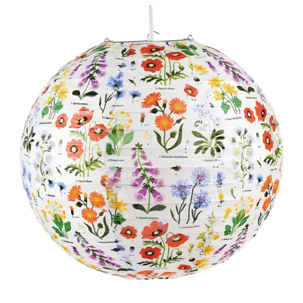 Rex London Lantern Wild Flowers Paper 40 Cm