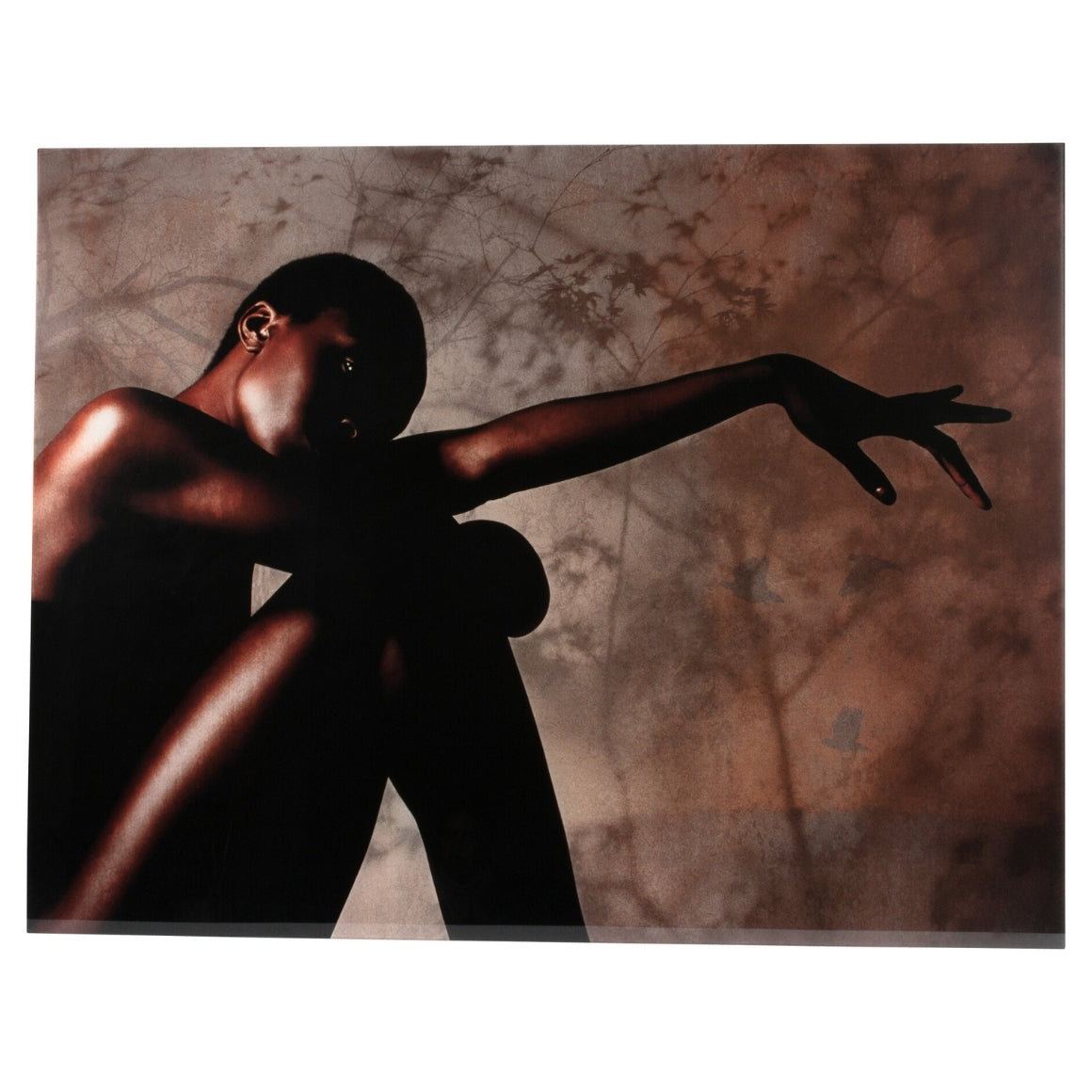 Ptmd Glass Painting Savanna By Monk Limited Edition 130 X 100 Cm