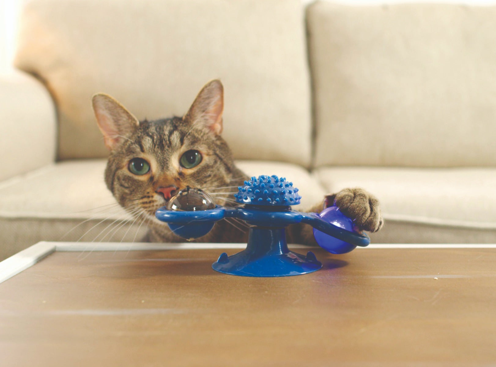 Purrfect Spinner: ¡el juguete para gatos definitivo para una diversión sin fin!