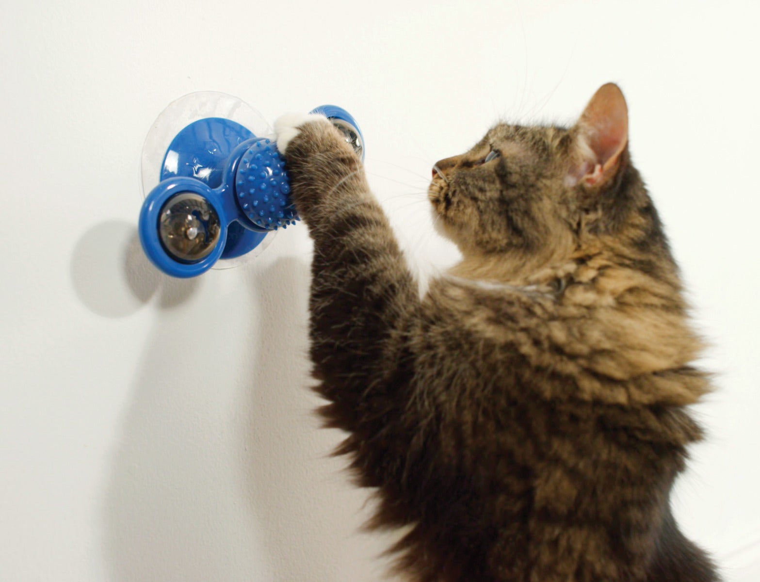 Purrfect Spinner: ¡el juguete para gatos definitivo para una diversión sin fin!