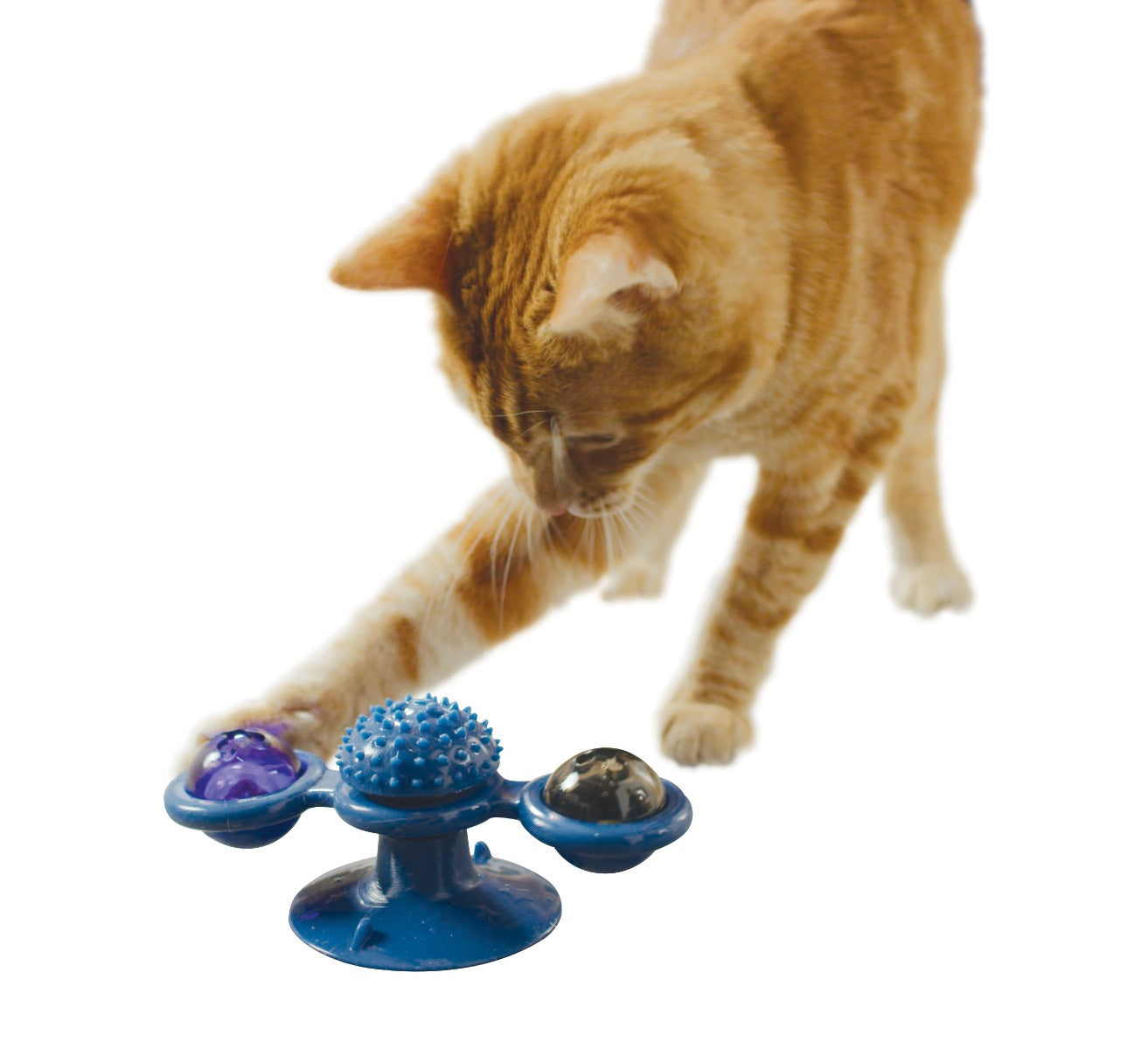 Purrfect Spinner – dokonalá hračka pro kočky pro nekonečnou zábavu!
