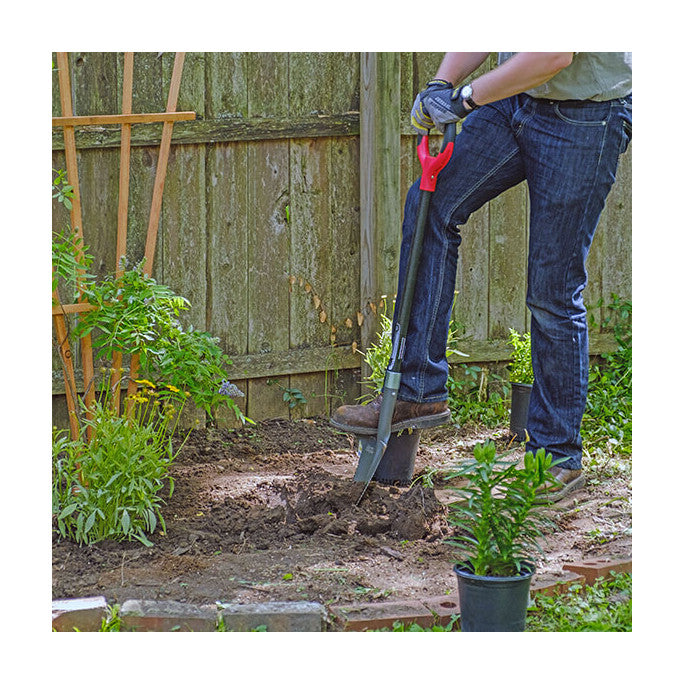 Root Slayer - Have Spade - Massive Edition