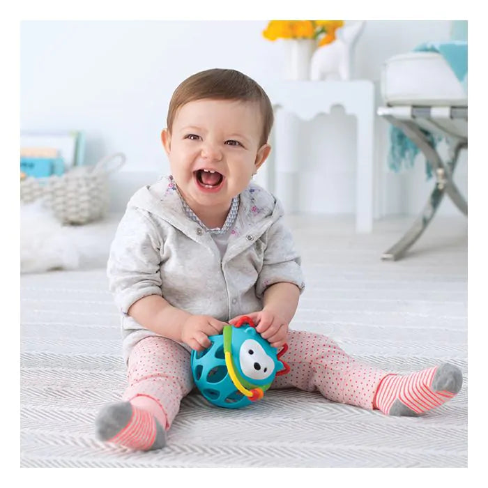 Skip Hop Explore & More Roll Rattle - Arici
