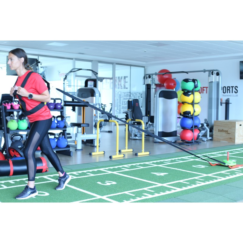 Entrenamiento Trineo Multicolor