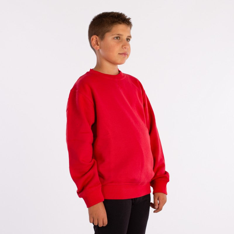 Pulóver Softee Owen Child Gris Vigoré 4 Años