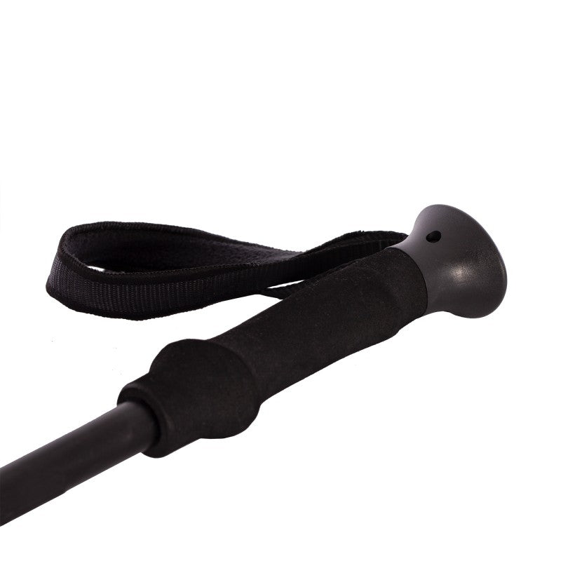 Trekking Stick Kilimanjaro