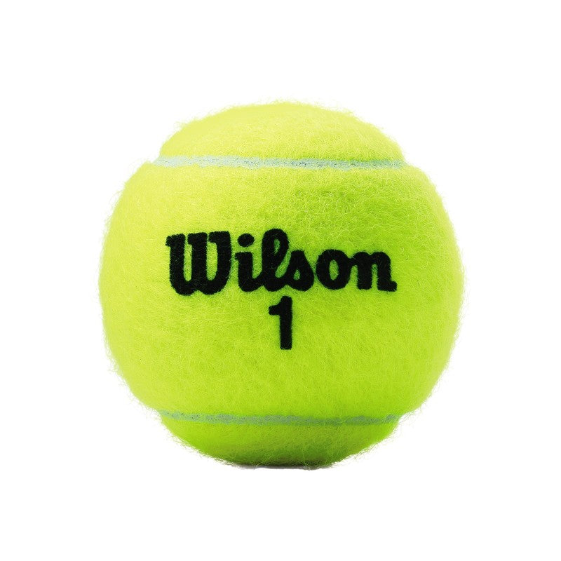 Rör med 3 tennisbollar Wilson Championship Xd Multicolor
