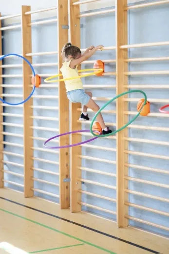 Set Of 4 Wallibari® Hoop Holders