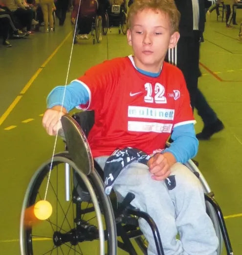 Swing Ping Pong