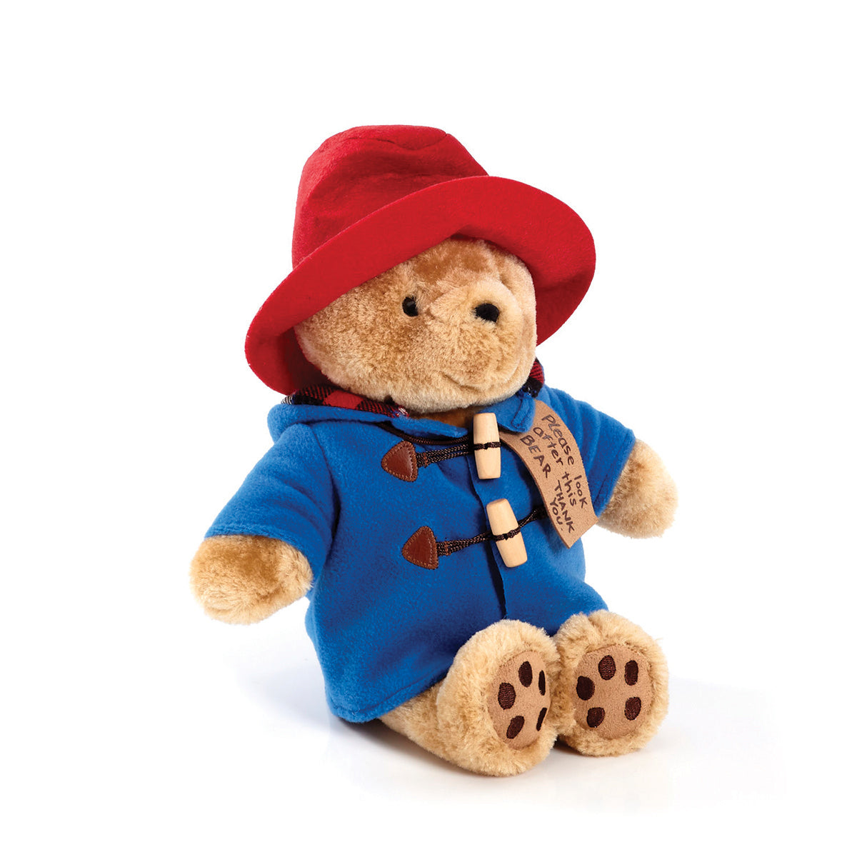 Rainbow Medium Plush Paddington Bear