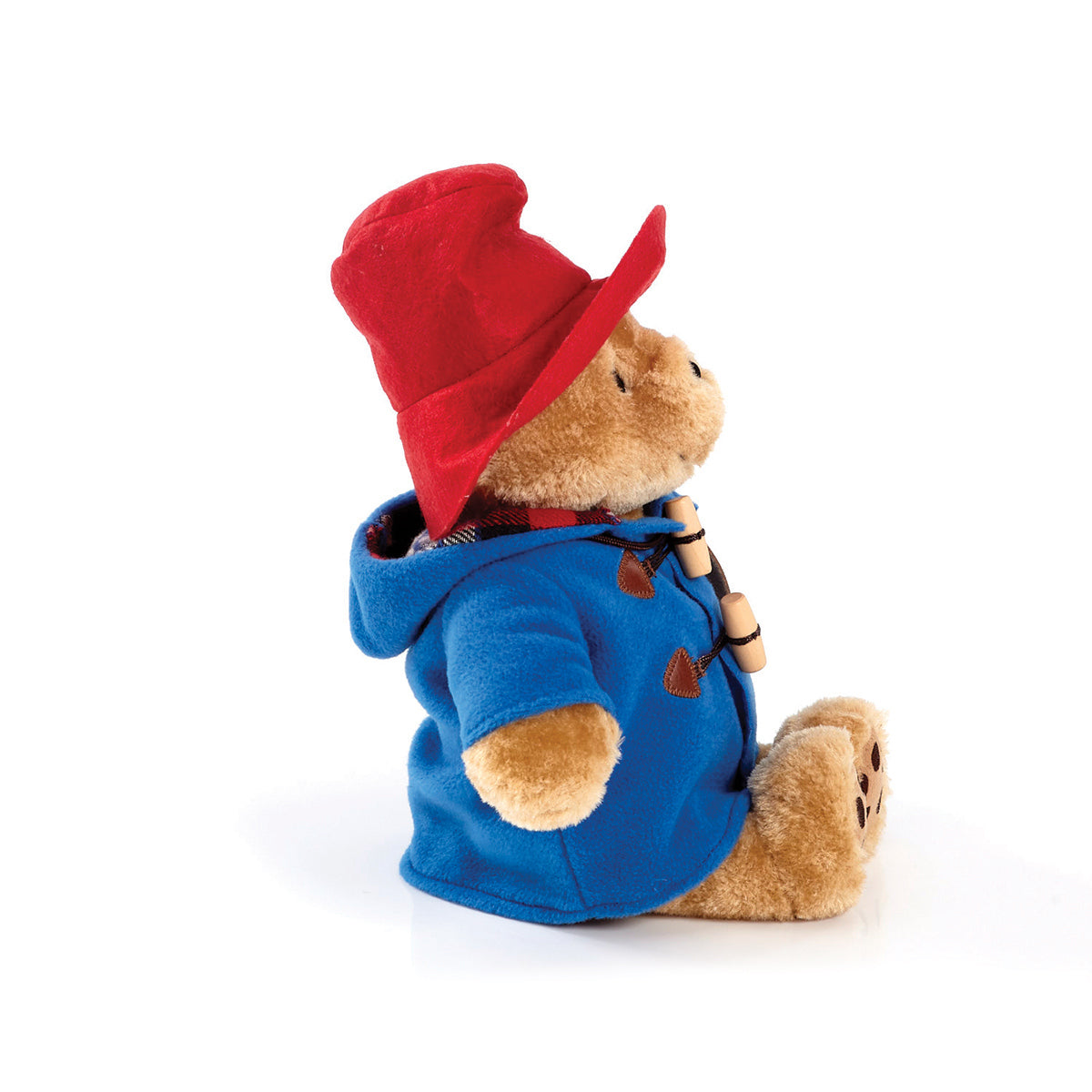 Rainbow Medium Plush Paddington Bear